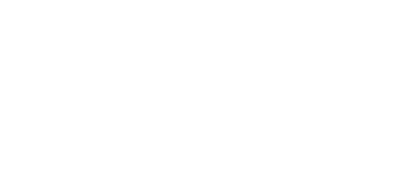Rubber King